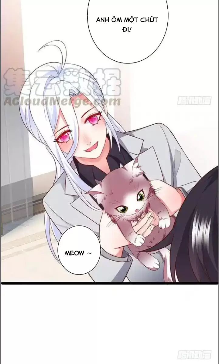 Hắc Đạo Đáng Yêu: Chapter 176