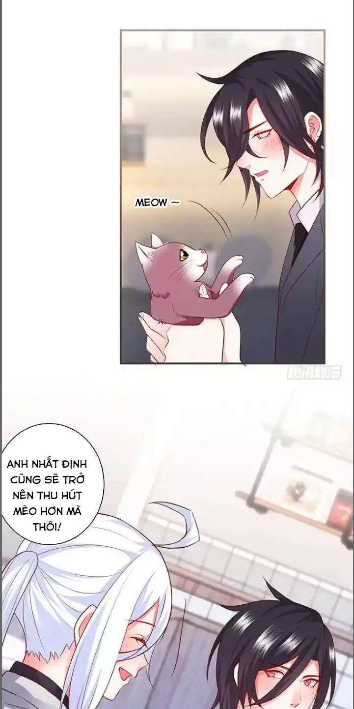 Hắc Đạo Đáng Yêu: Chapter 176