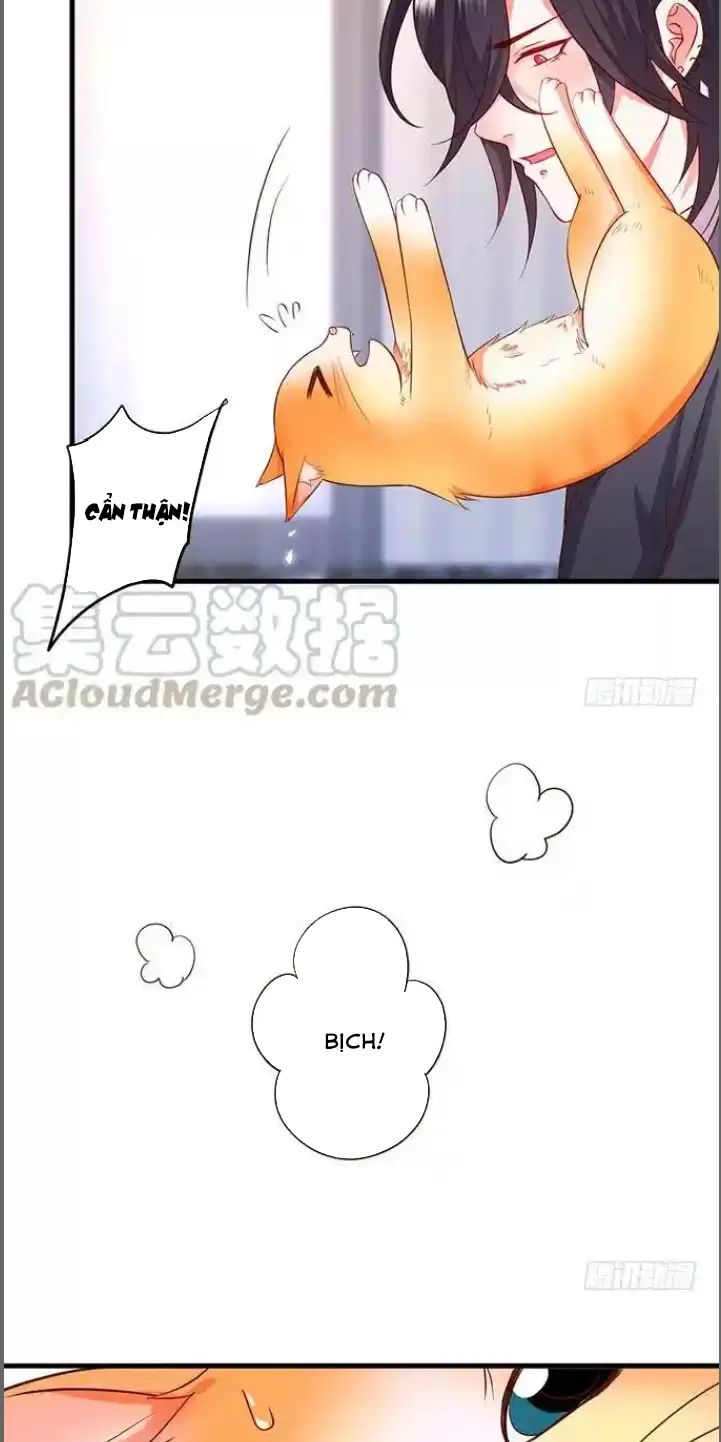 Hắc Đạo Đáng Yêu: Chapter 176