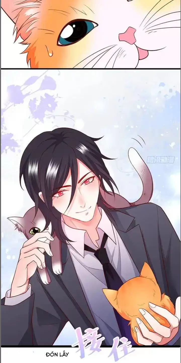 Hắc Đạo Đáng Yêu: Chapter 176