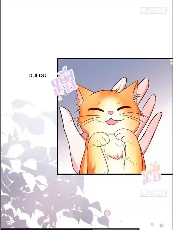 Hắc Đạo Đáng Yêu: Chapter 176