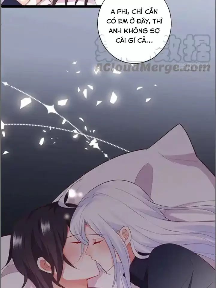 Hắc Đạo Đáng Yêu: Chapter 176