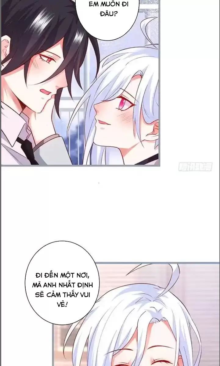 Hắc Đạo Đáng Yêu: Chapter 176