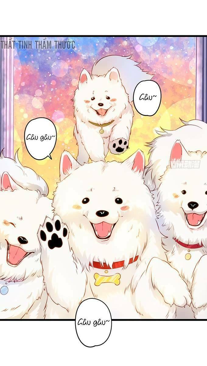 Hắc Đạo Đáng Yêu: Chapter 18