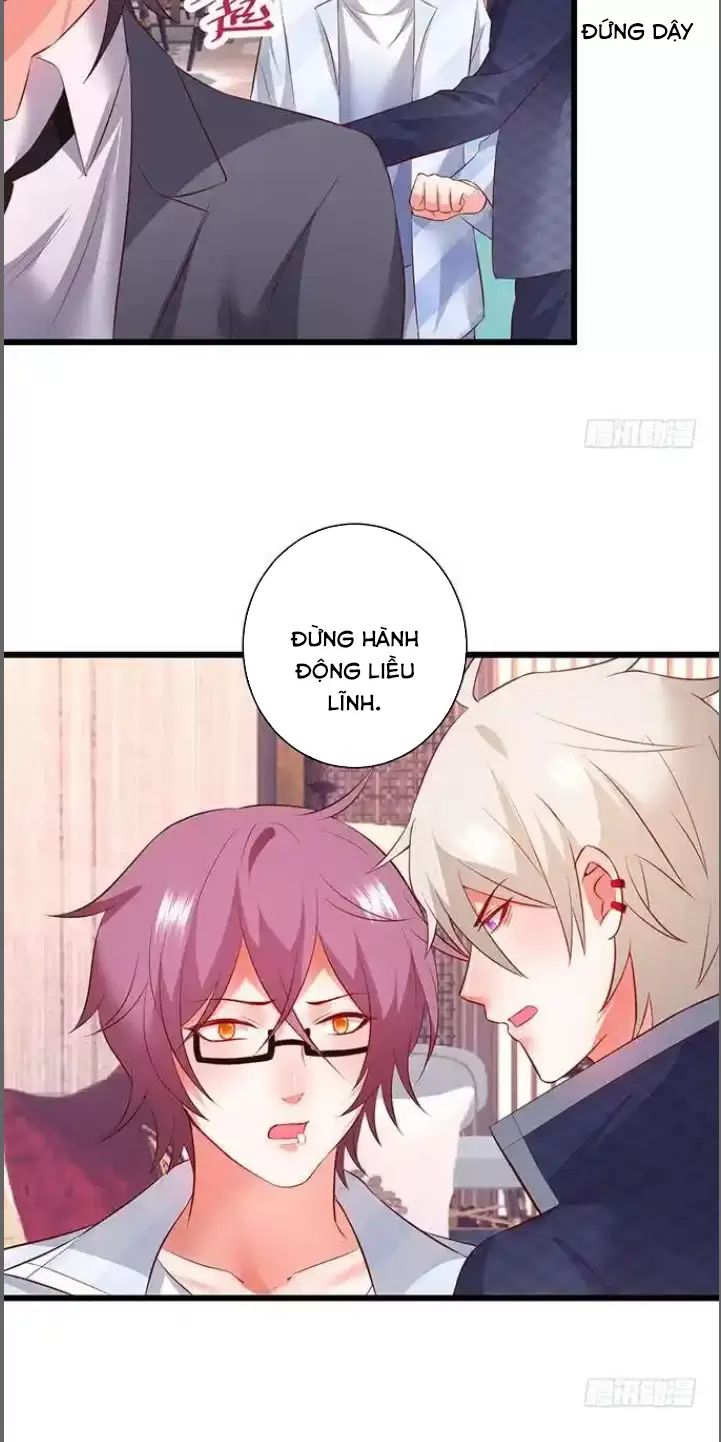 Hắc Đạo Đáng Yêu: Chapter 184