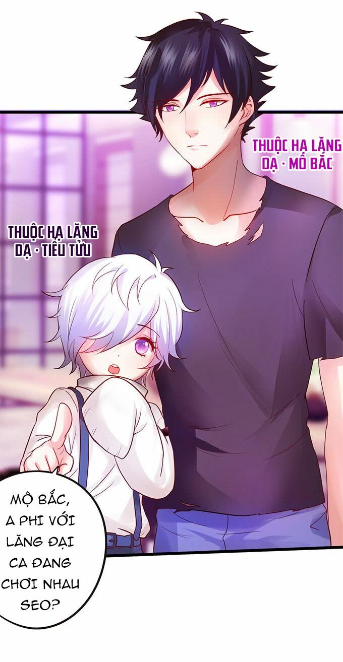 Hắc Đạo Đáng Yêu: Chapter 2