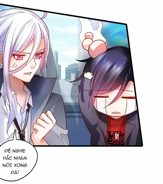 Hắc Đạo Đáng Yêu: Chapter 2