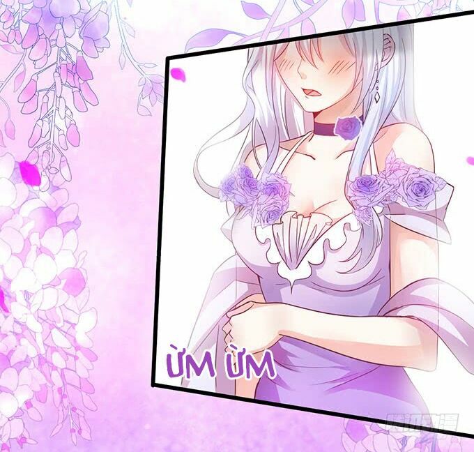 Hắc Đạo Đáng Yêu: Chapter 2