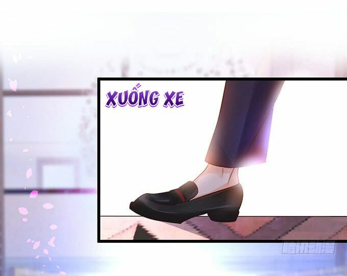 Hắc Đạo Đáng Yêu: Chapter 2