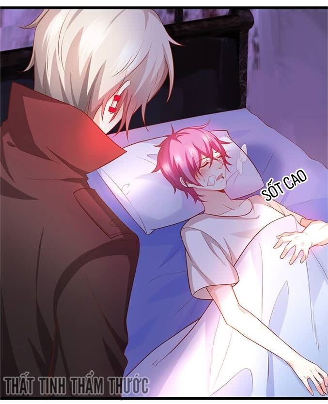 Hắc Đạo Đáng Yêu: Chapter 34