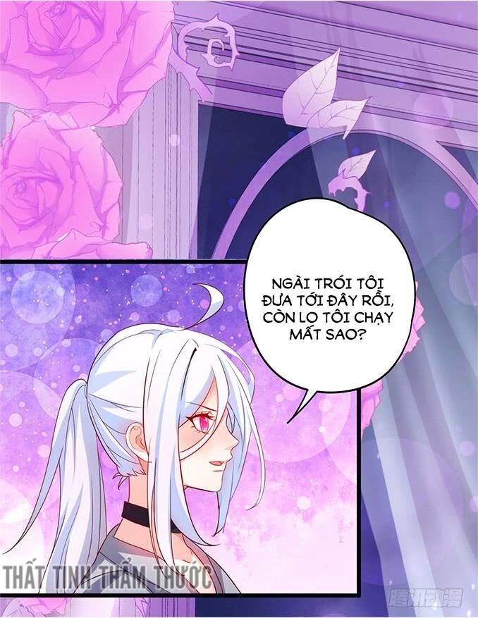 Hắc Đạo Đáng Yêu: Chapter 34