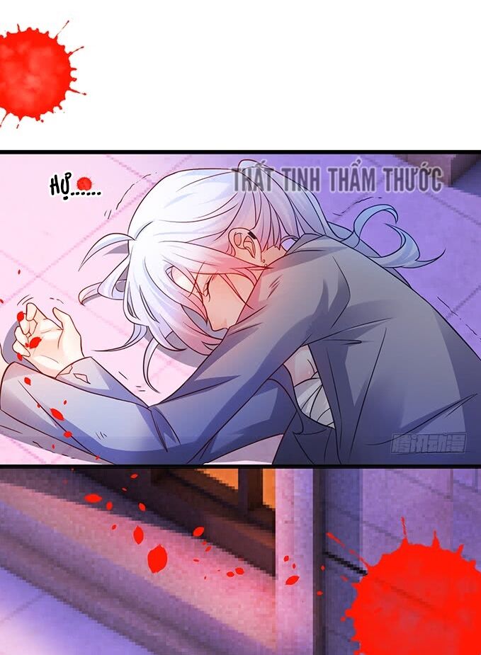 Hắc Đạo Đáng Yêu: Chapter 36