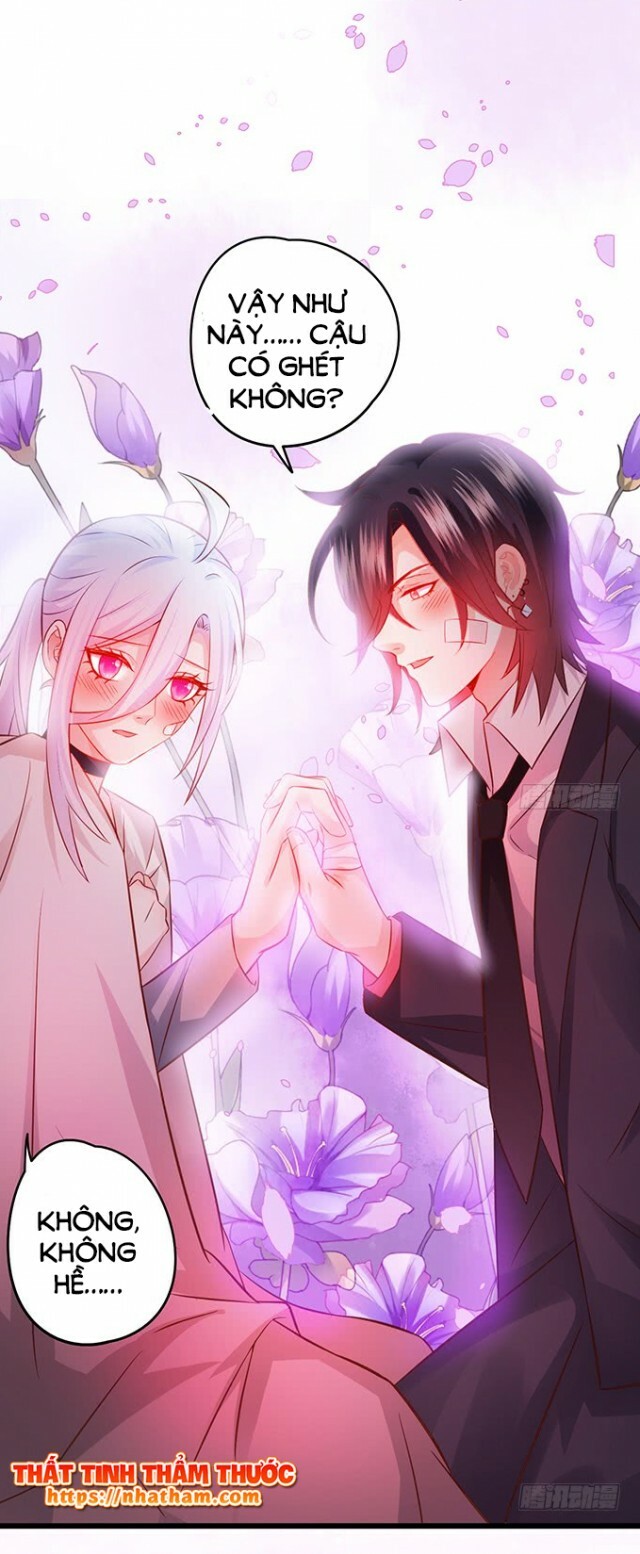 Hắc Đạo Đáng Yêu: Chapter 38