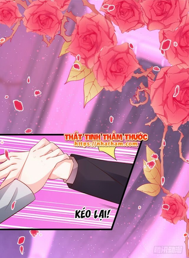 Hắc Đạo Đáng Yêu: Chapter 38