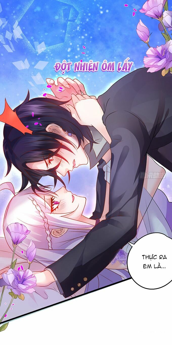 Hắc Đạo Đáng Yêu: Chapter 4