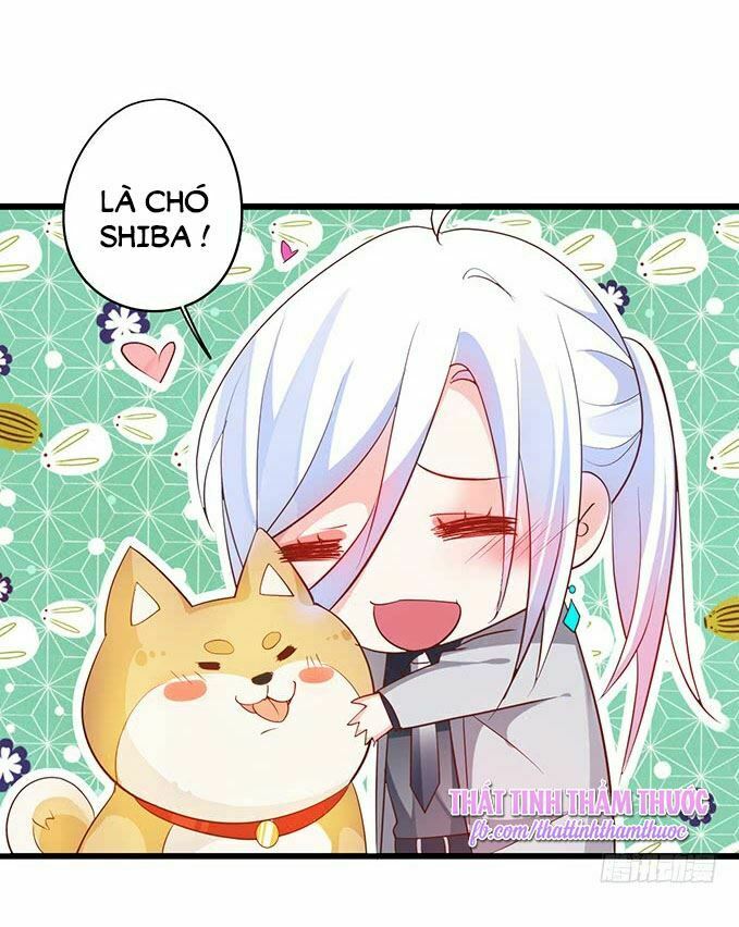 Hắc Đạo Đáng Yêu: Chapter 41