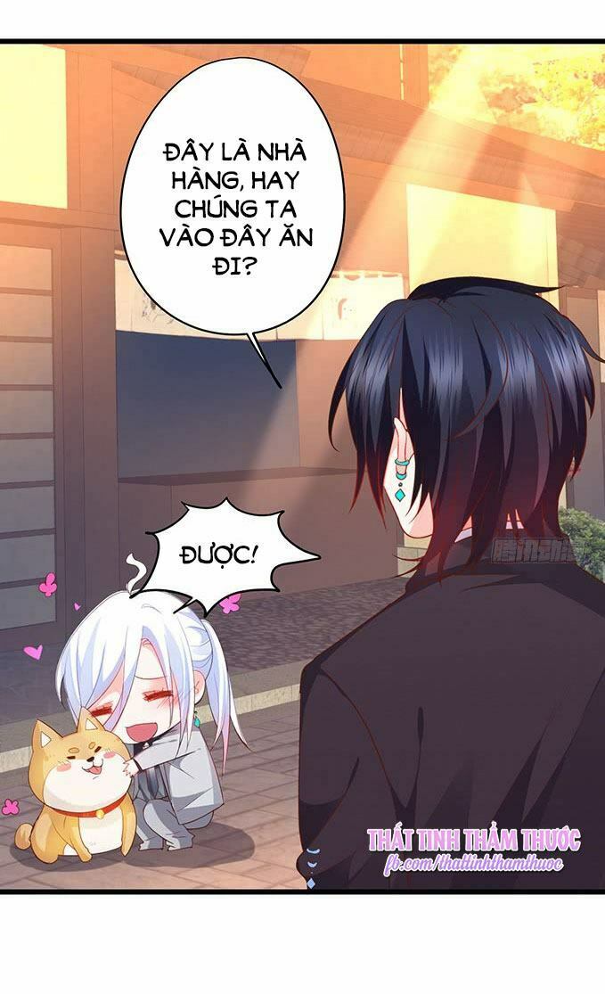 Hắc Đạo Đáng Yêu: Chapter 41