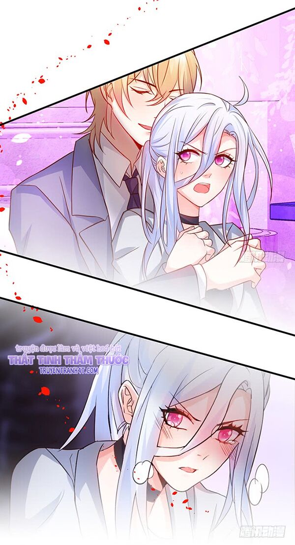 Hắc Đạo Đáng Yêu: Chapter 47