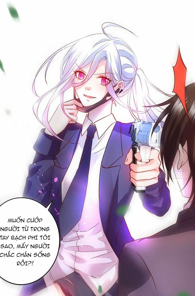 Hắc Đạo Đáng Yêu: Chapter 5