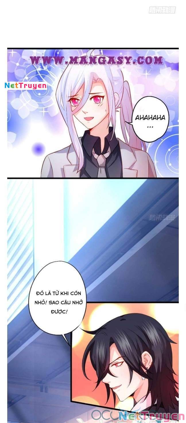 Hắc Đạo Đáng Yêu: Chapter 50