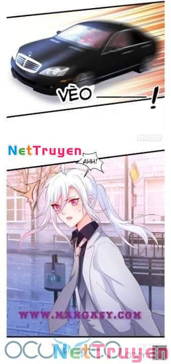 Hắc Đạo Đáng Yêu: Chapter 50