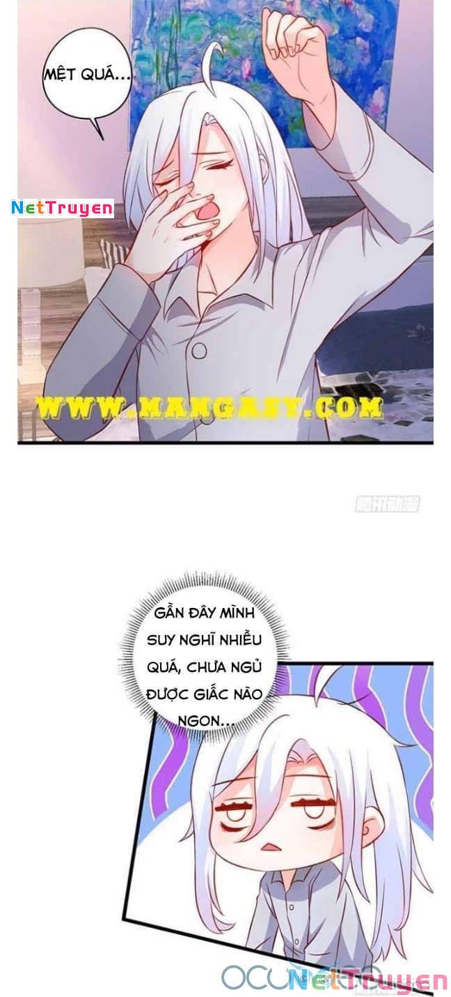 Hắc Đạo Đáng Yêu: Chapter 50