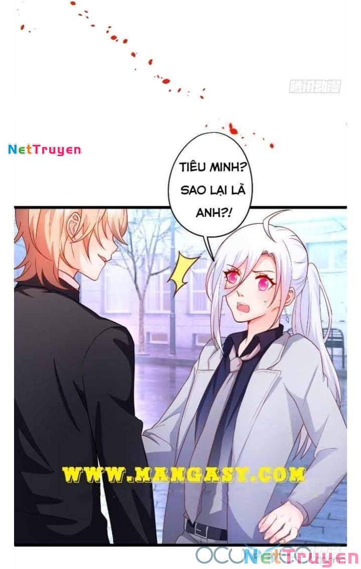 Hắc Đạo Đáng Yêu: Chapter 50