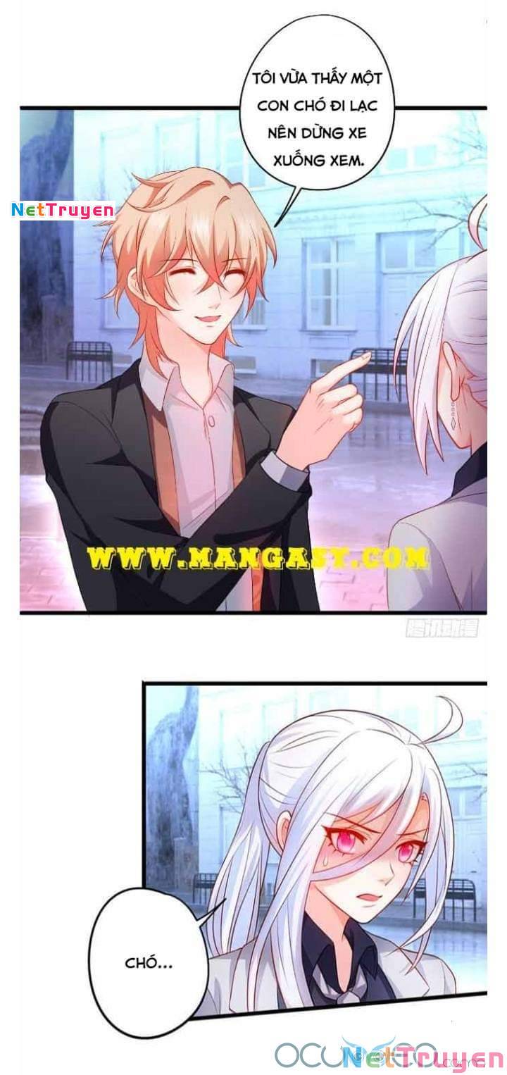 Hắc Đạo Đáng Yêu: Chapter 50
