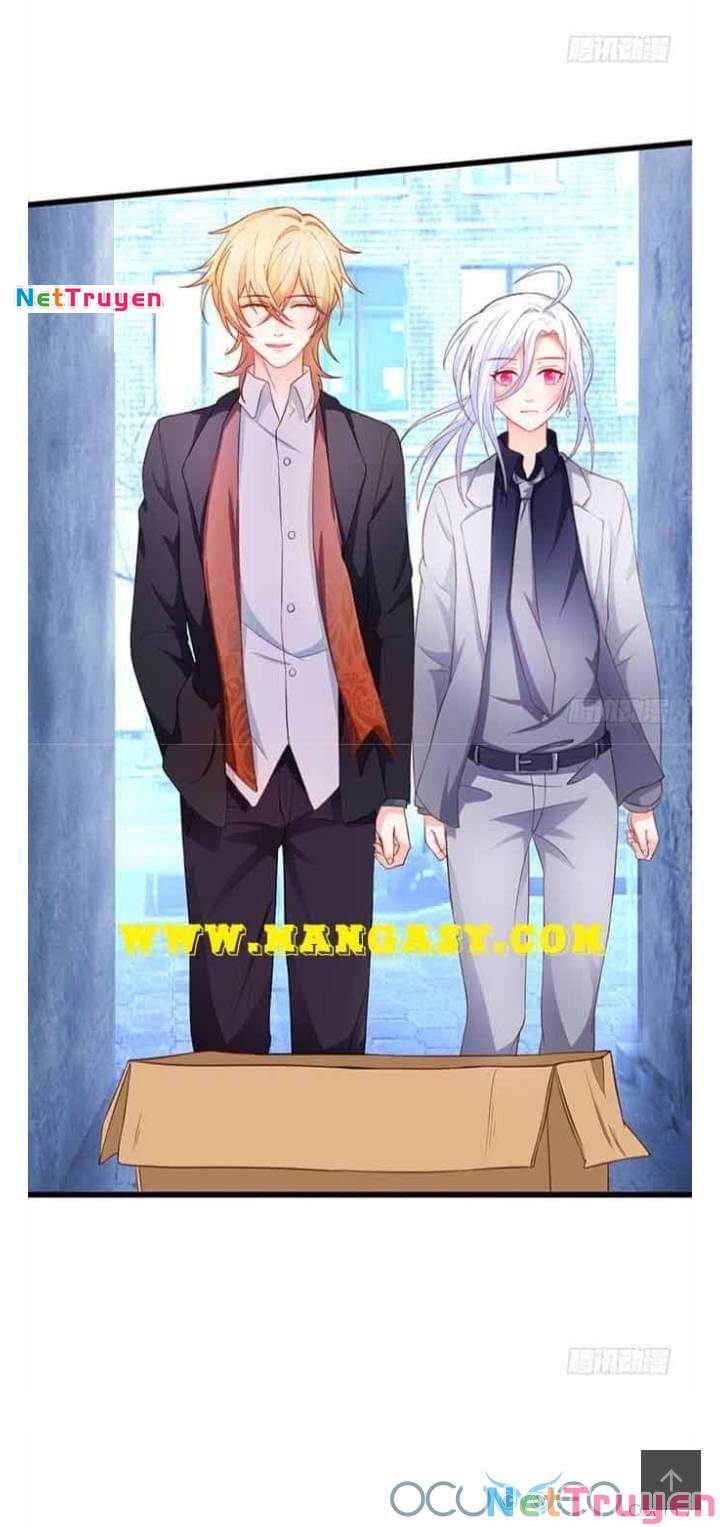 Hắc Đạo Đáng Yêu: Chapter 50