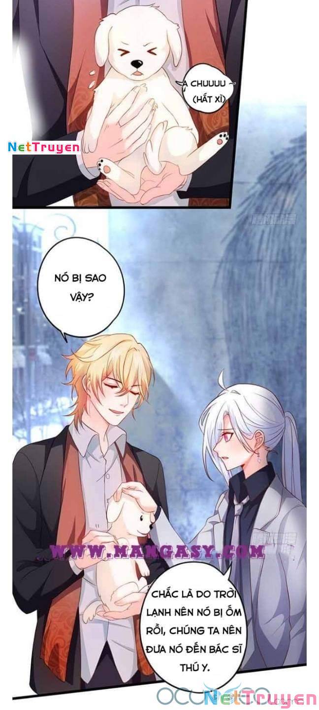 Hắc Đạo Đáng Yêu: Chapter 50