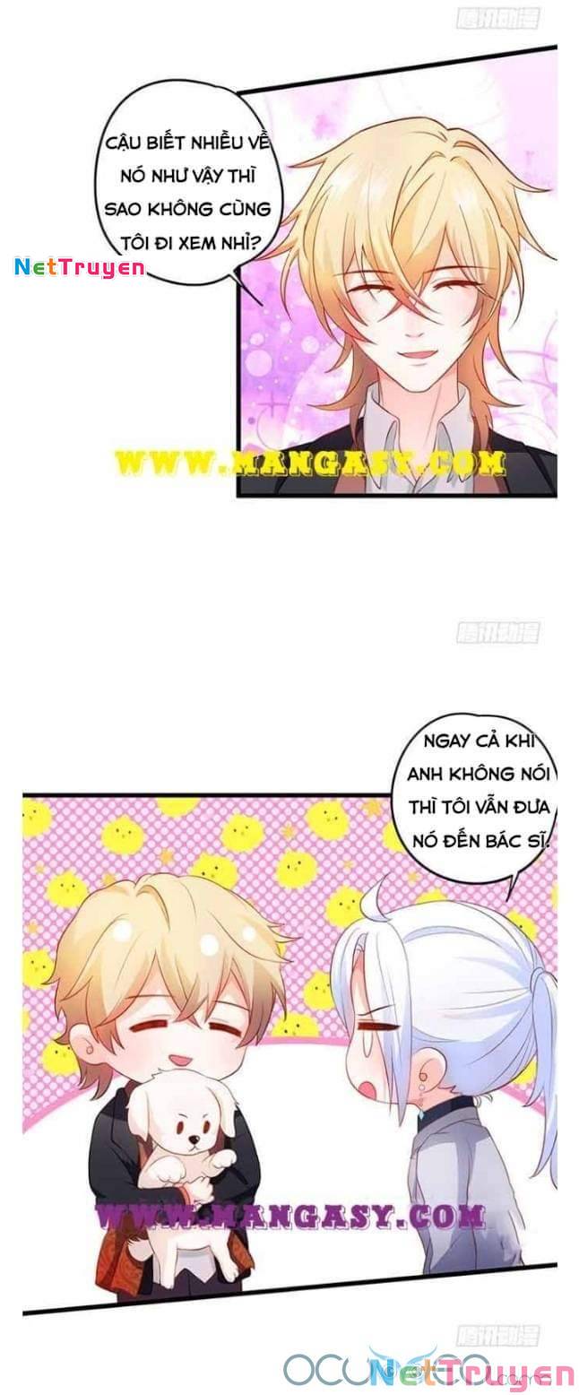 Hắc Đạo Đáng Yêu: Chapter 50