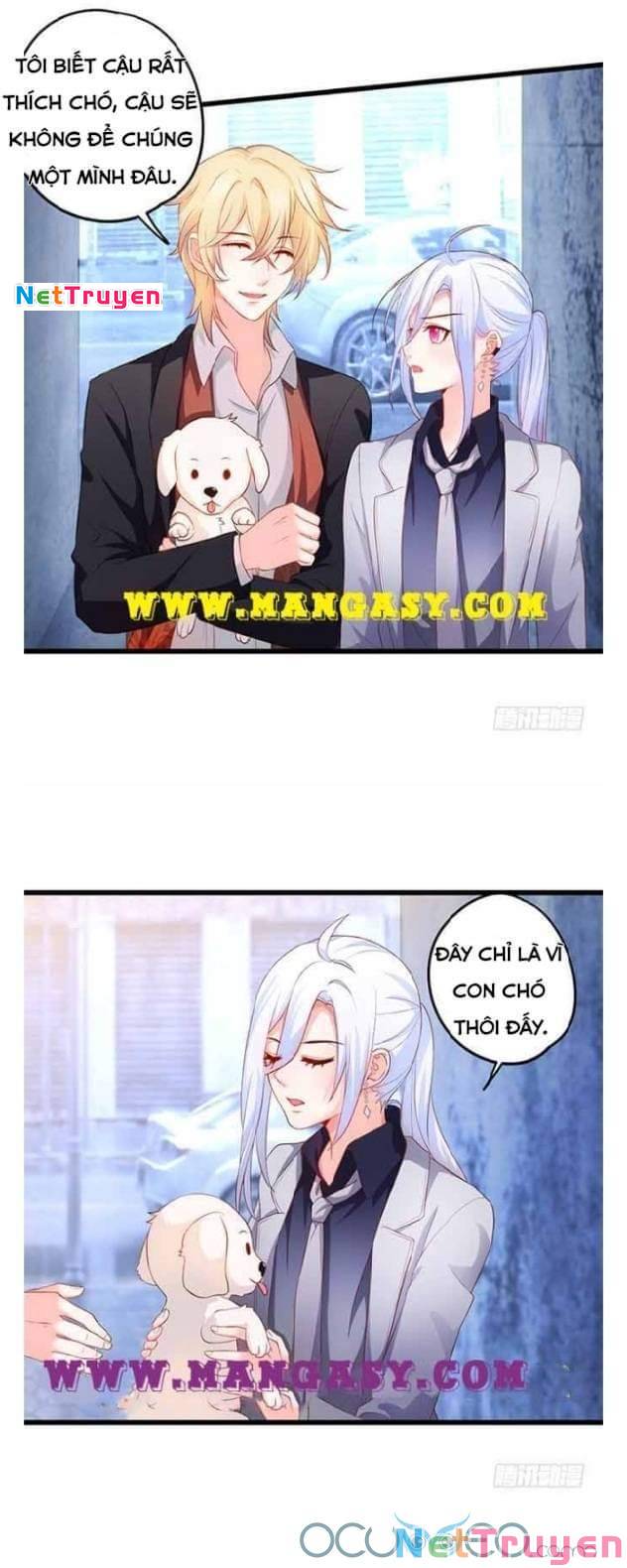 Hắc Đạo Đáng Yêu: Chapter 50
