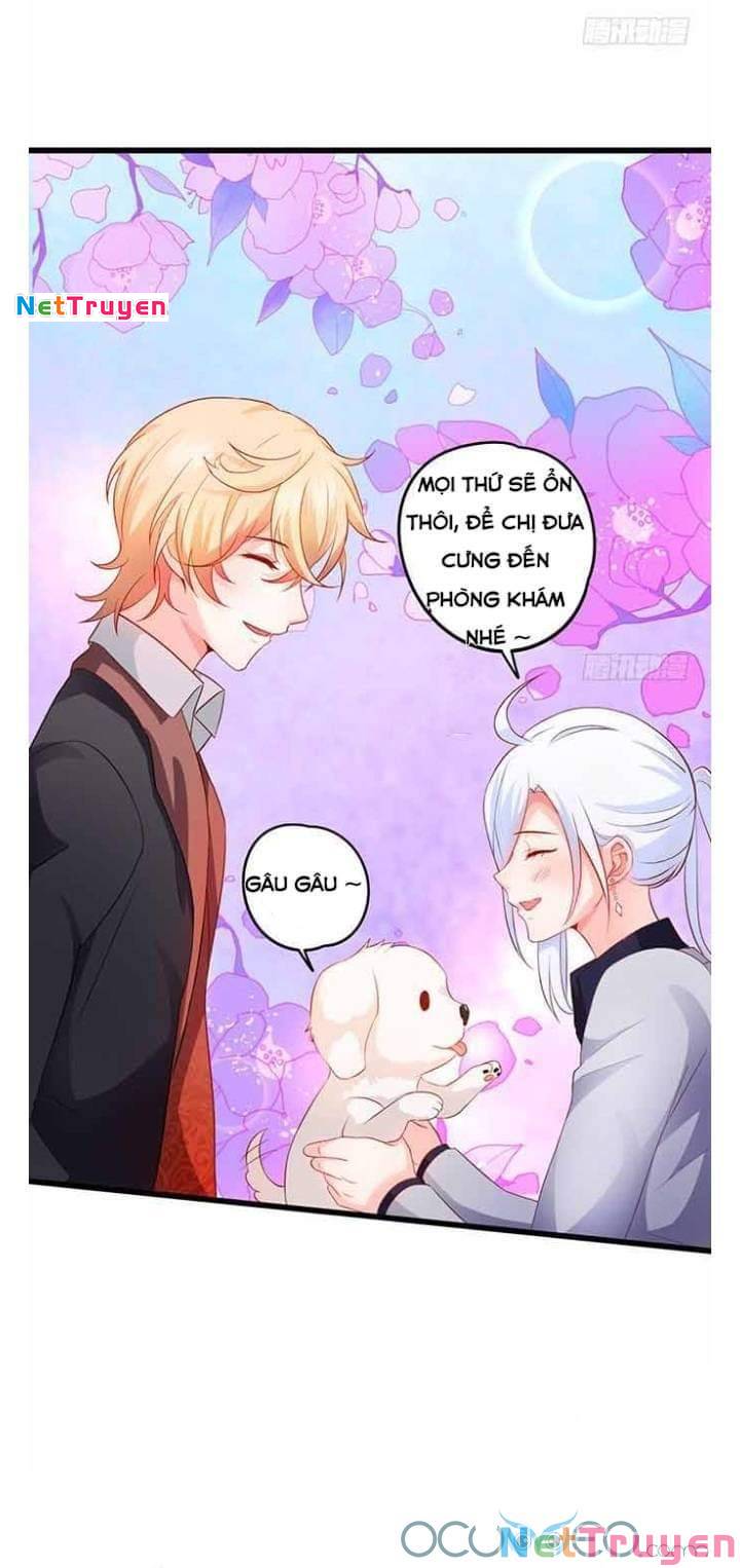 Hắc Đạo Đáng Yêu: Chapter 50