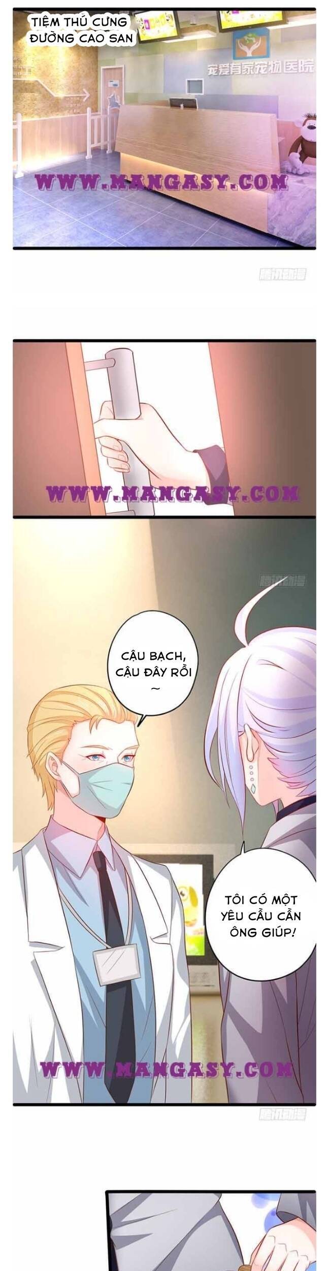 Hắc Đạo Đáng Yêu: Chapter 62