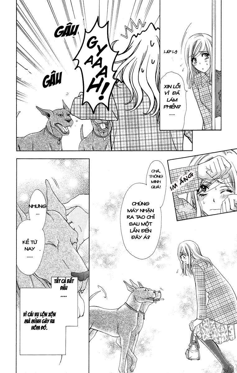 Hapi Mari: Chapter 15