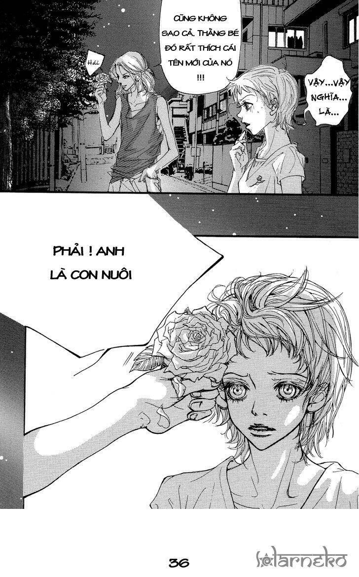 Happy & Murphy: Chapter 7