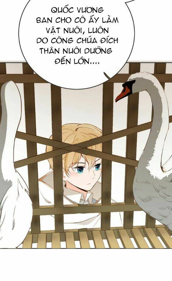 999 Nụ Hôn Bá Đạo Của Nam Thần: Chapter 8.5