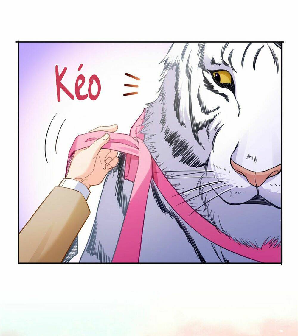 Hệt Như Hàn Quang Gặp Nắng Gắt: Chapter 208