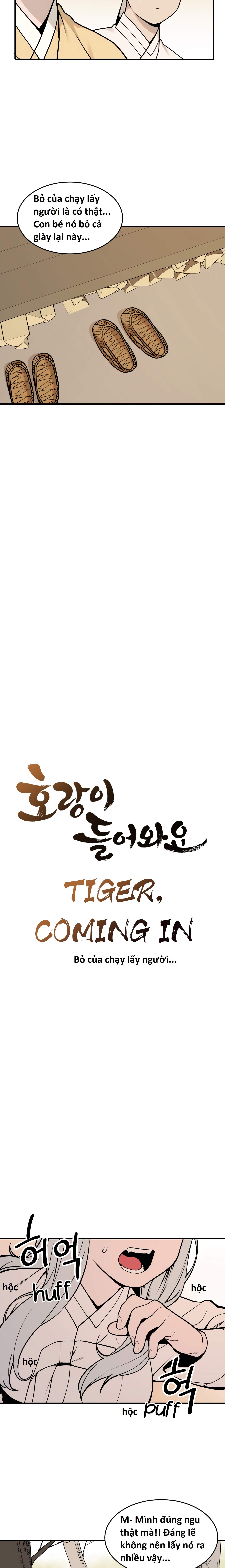 Hổ Đến Chơi Nhà (bản Puchimasu Tự): Chapter 31