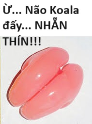 Hổ Đến Chơi Nhà (bản Puchimasu Tự): Chapter 72