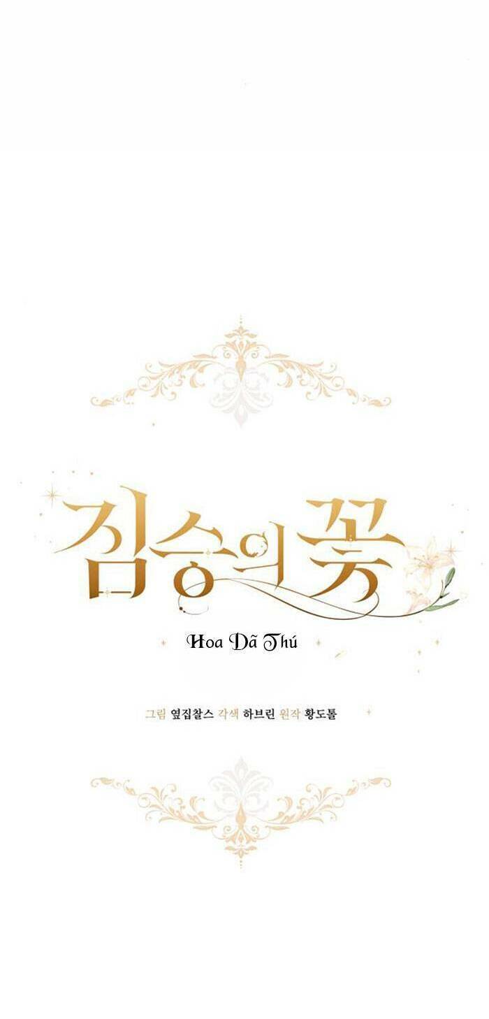 Nhất Kiếm Độc Tôn: Chapter 11
