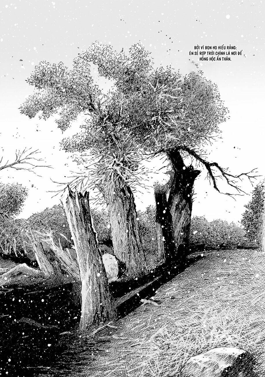 Hỏa Phụng Liêu Nguyên: Chapter 529