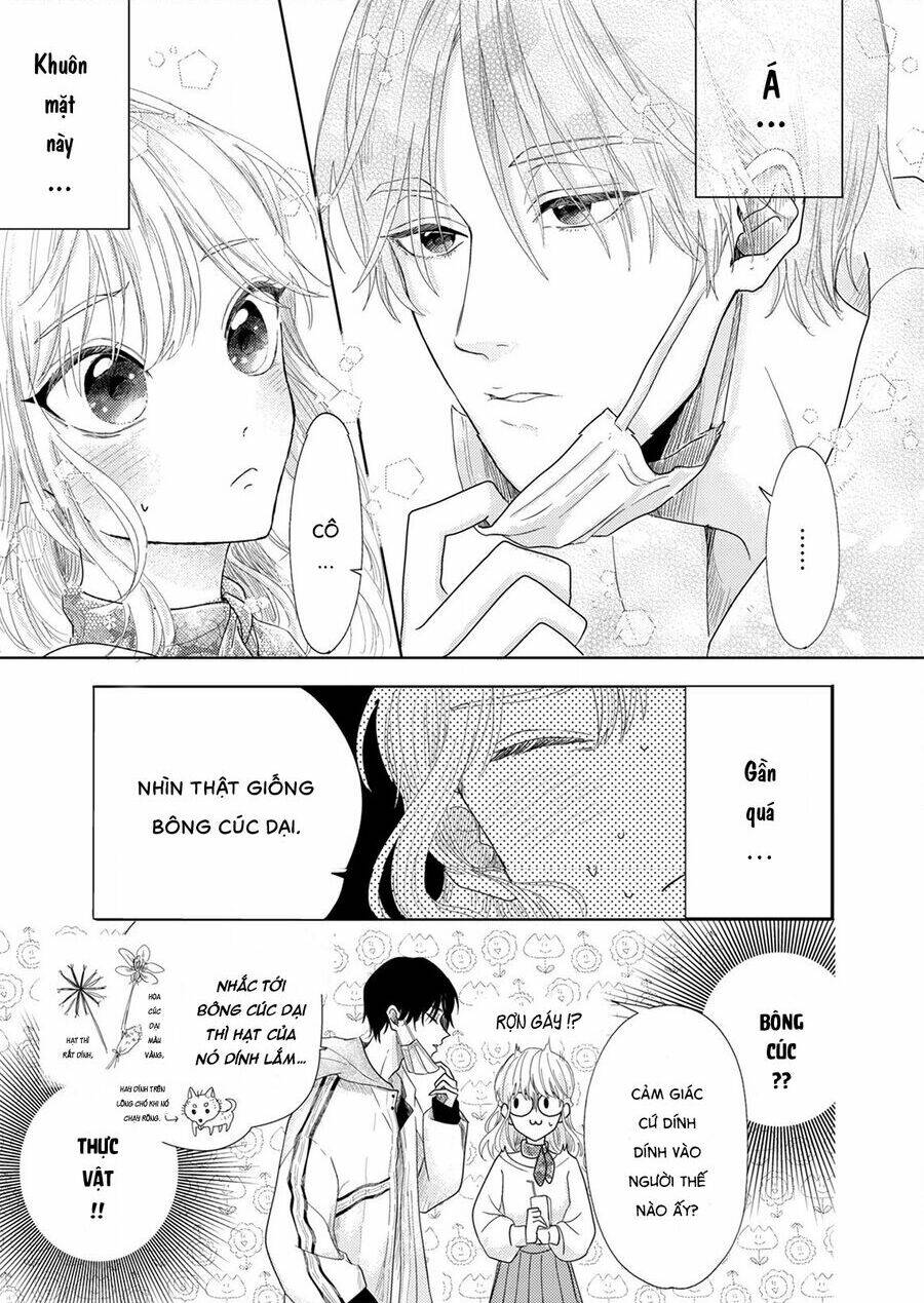 Hoa Trà Đợi Xuân Nở Yêu Thương: Chapter 1