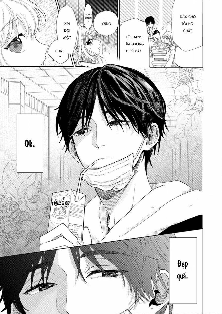 Hoa Trà Đợi Xuân Nở Yêu Thương: Chapter 1
