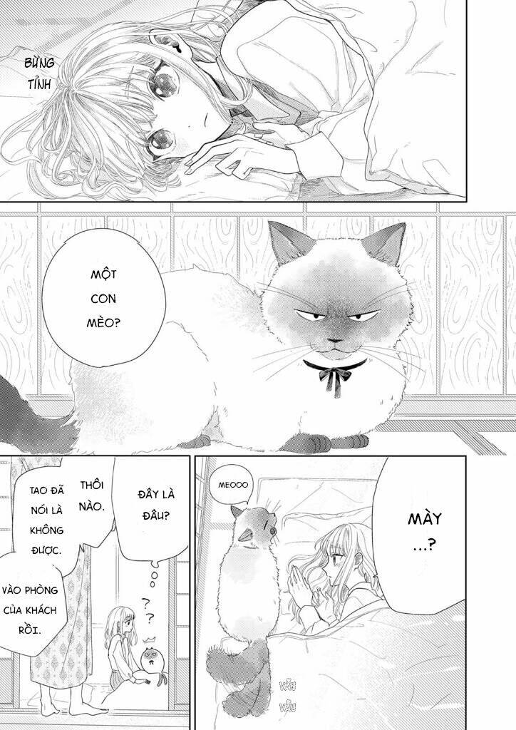 Hoa Trà Đợi Xuân Nở Yêu Thương: Chapter 2