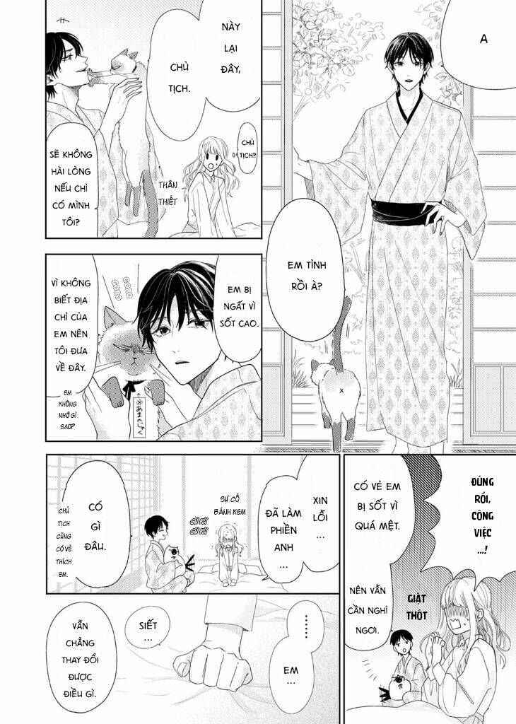 Hoa Trà Đợi Xuân Nở Yêu Thương: Chapter 2