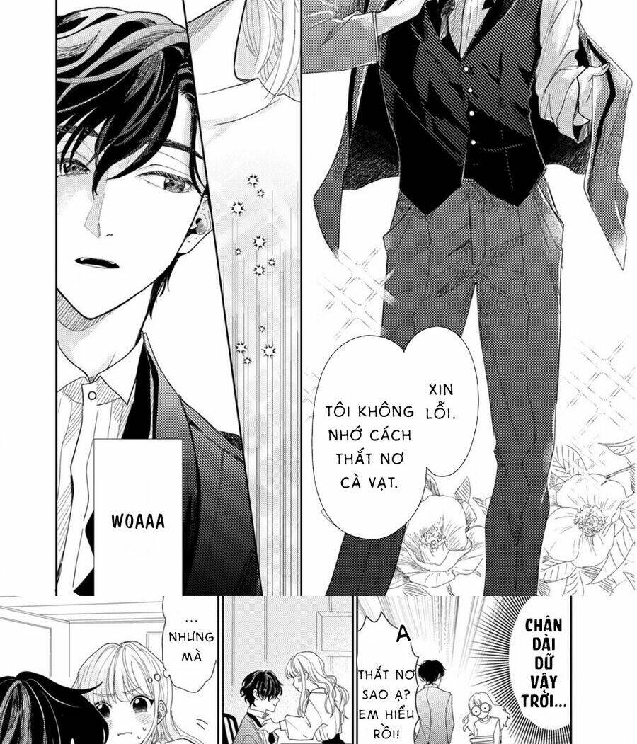 Hoa Trà Đợi Xuân Nở Yêu Thương: Chapter 3
