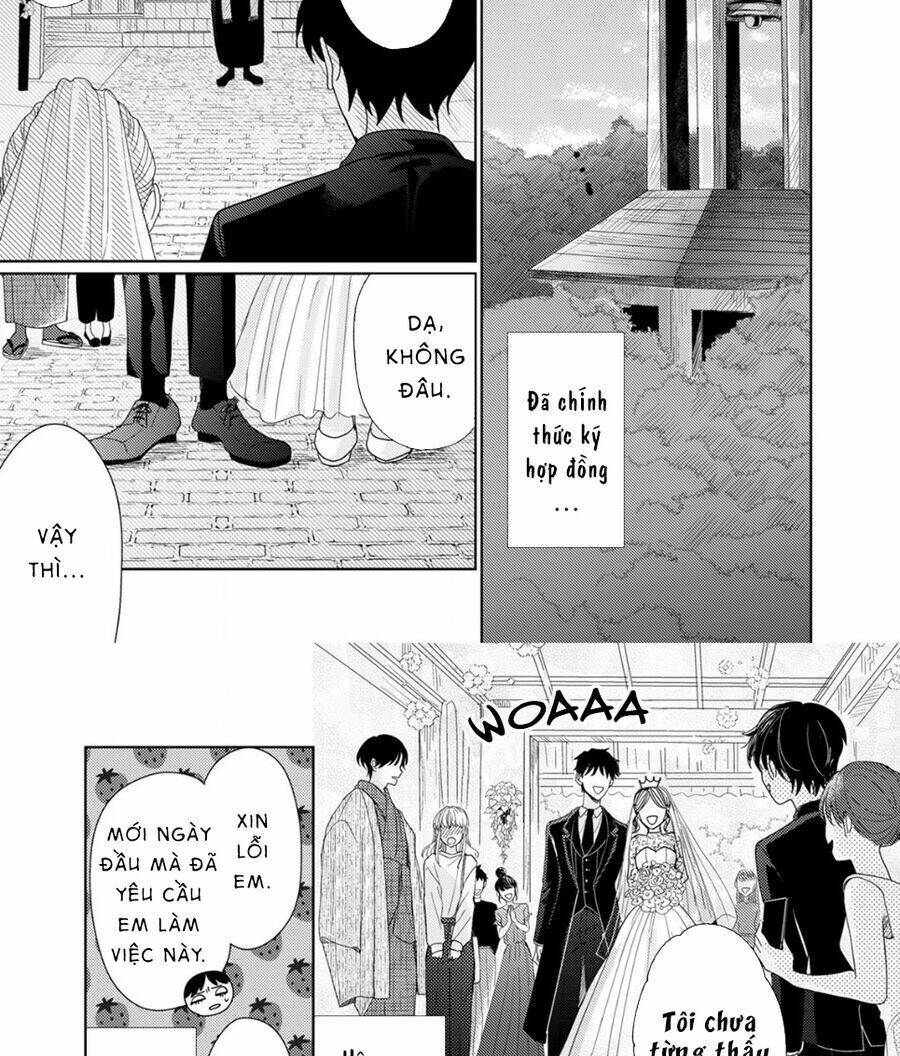 Hoa Trà Đợi Xuân Nở Yêu Thương: Chapter 3