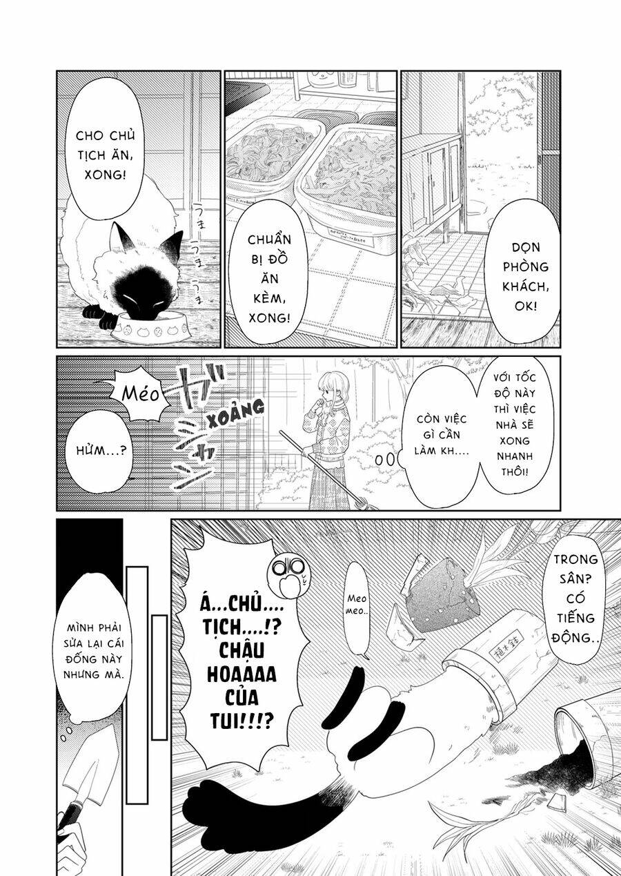 Hoa Trà Đợi Xuân Nở Yêu Thương: Chapter 6