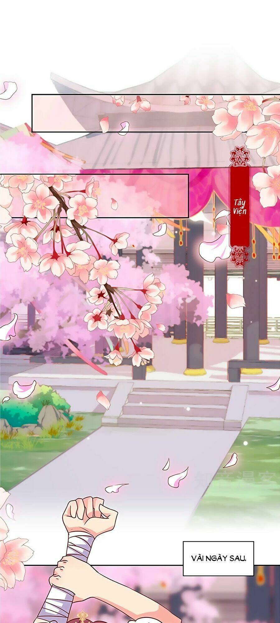 Hoàng Hậu Nương Nương Đích Năm Xu Đặc Hiệu: Chapter 206